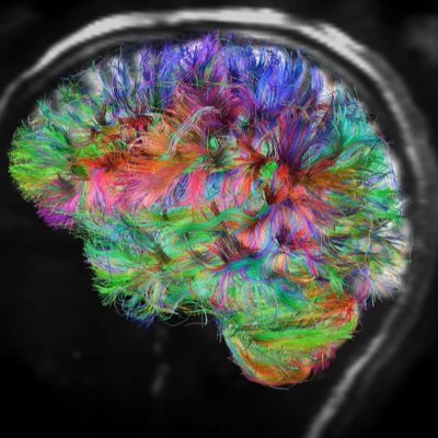 mindhacker127's profile picture. I've changed my mind.