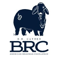 BR Cutrer, Inc. (@brcutrer) 's Twitter Profile