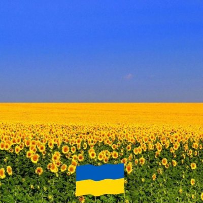 Julia Brannan 💙🇺🇦さんのプロフィール画像