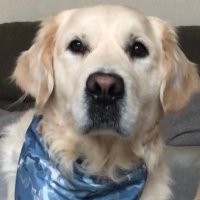 🗳 President Ted 🗳 (@voteforted2020) 's Twitter Profile Photo