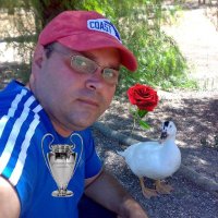 Manuel Romero Ríos (@manu_rorios) 's Twitter Profile
