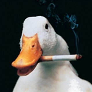 jonah01100010's profile picture. free minecraft maybe virus