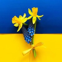 I Read Banned Books 🇺🇸🌻 🇺🇦🇮🇩 Moderna⁵/Mask² (@senraba) 's Twitter Profile