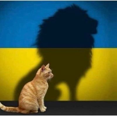 BrianLaverty4's profile picture. 