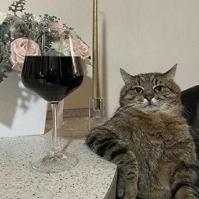 Joleprive's profile picture. 
