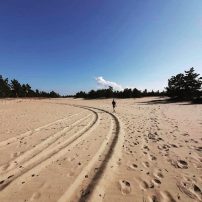 HannaKruusi's profile picture. 