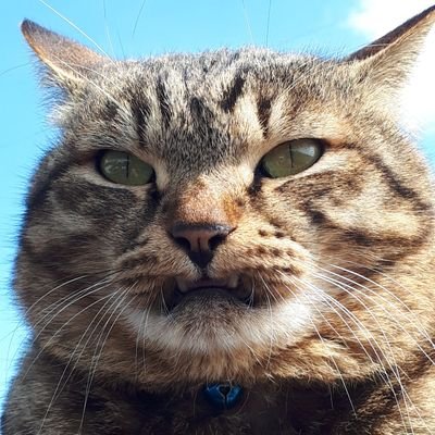hineko210's profile picture. 東脊振(吉野ヶ里町)出身
鳥栖工業 麗澤大学 OB
元駅伝ニャンナーです。
気軽にフォローよろしくです。