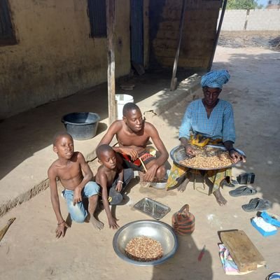 JimSmit21231600's profile picture. i am Gambian,grade 8 student