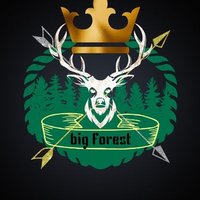 @BIG forest (@bigforest914) 's Twitter Profile