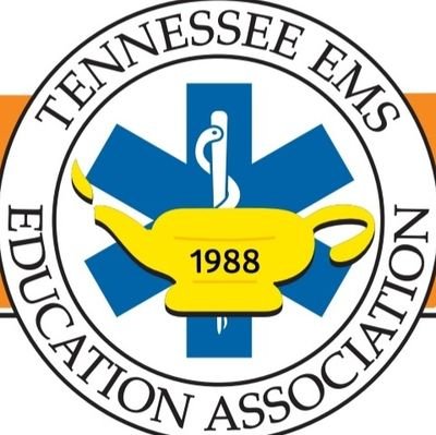 TEMSEA is the leader in EMS education in Tennessee. Setting standards. Providing resources. Developing leaders. Improving outcomes.