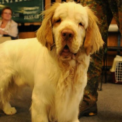 MarcinJ29532366's profile picture. 