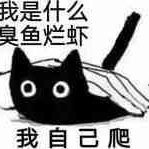 chonggao11's profile picture. 坐标上海，第二个朋友圈，记录一下日常生活