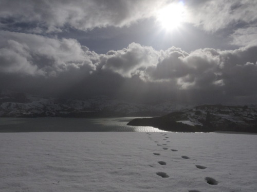 NaturalSourceNZ's profile picture. Developing export strategies and marketing plans for New Zealand's most exciting primary sector businesses. http://t.co/L57LS0uRkQ