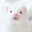 nyorotan99's profile image