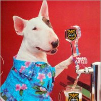 Picodogg 🇺🇲🌻🇺🇦 SLAVA UKRAINI! (@picodogg) 's Twitter Profile