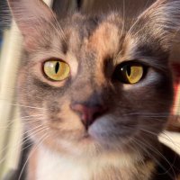 Norbs (@norbergcraig) 's Twitter Profile