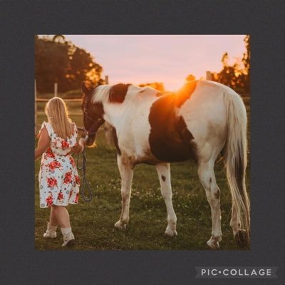 Jesus continually lifts me up. I am humbled. ♥ Prince (my horse) is my entire world. ☺️ Country gal and pup groomer at heart! 💛