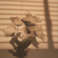 م (@mx_828) Twitter profile photo