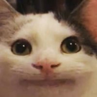 dooshie (@doooshie) 's Twitter Profile