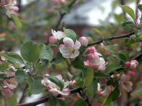 janlandry1's profile picture. 