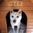 sa_10_a's profile image