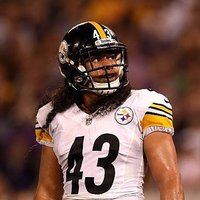 Troy Polamalu (@binderedengelen) Twitter profile photo