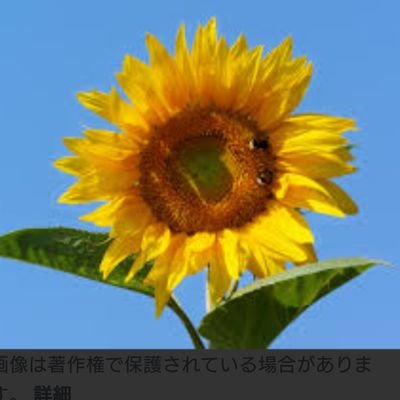 BLに囲まれて暮らしてます。大昔にJUNE定期購読。

好きな作家様（敬称略）
木原音瀬　英田サキ　砂原糖子　凪良ゆう　一穂ミチ　みやしろちうこ　犬飼のの　夜光花　尾上与一　沙野風結子
竹宮恵子　萩尾望都　清水玲子　中村明日美子　ヨネダコウ　ヤマヲミ　等々