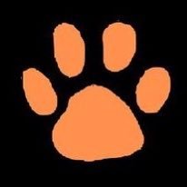 ThsTed's profile picture. Let’s grow together