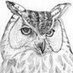 Ted Owlsen (@owlsented) Twitter profile photo Ted Owlsen (@owlsented) Twitter profile photo