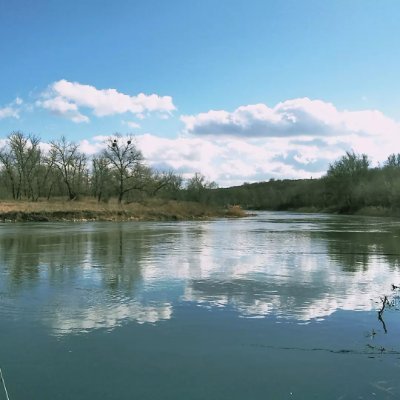 ЭкономІст, консультант, верстальщик, автор