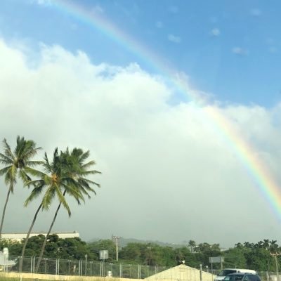 chantaka52's profile picture. 未経験からエンジニア転職|万年ダイエット|ランニング|スポーツ観戦|キャンプ|英語学習|ロシアンブルー(2024/04♀)