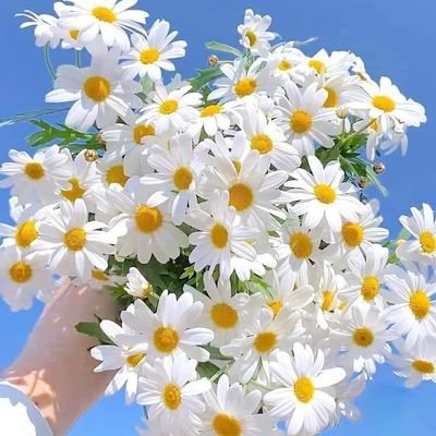 kho_9036's profile picture. 🌸ستطيب دنيانا وتزدحم النعم 🌸

  🍁الحمدلله على عطائه وجزيل نعمائه 🍁