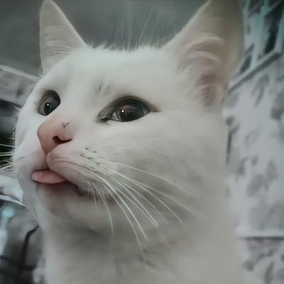 Tetana_Petrenko's profile picture. 