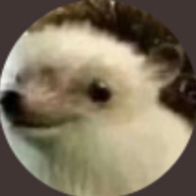 no_fake_shvtt's profile picture. Psalms 100 | "The Best to EVER do it!"-Zarya | Streamer | $0 Earned | R.I.P Jacob & Unc🙏🏽4:20 | #TwitchAffiliate @BitRivals Ambassador | 2k+ All platforms