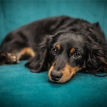 スキマ時間に可能なゆるい副業を紹介しています🌼スマホ1台でどこでもお仕事可能🌻自分のペースでできるときにやれます💚私自身3ヵ月で月100万達成しました♪副業に興味がある方を無料でサポートしてます🔥無言フォロー失礼します🙇