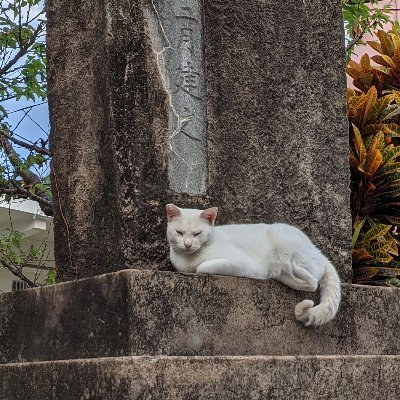 hytSF's profile picture. 宇宙開発したい、してる。今年は丁寧な生活をしたい。