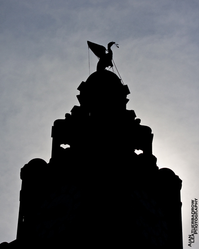 economic_jog's profile picture. 