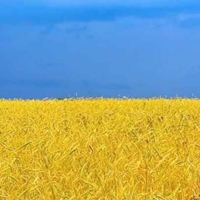 Belladonovan12's profile picture. 