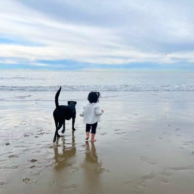 미국에서 법원다니는 한국인 // 손변호사님 남편, 큰딸(강아지)와 작은딸(사람)의 아빠 // “왜 차별금지법인가