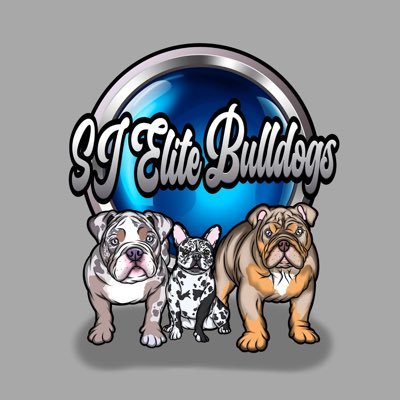 UK / Midlands based breeders of English and French bulldogs.