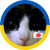 🇯🇵🤝🇺🇦金田 千春 (ALMONDEYE)🇺🇸 (@almondeye691) Twitter profile photo 🇯🇵🤝🇺🇦金田 千春 (ALMONDEYE)🇺🇸 (@almondeye691) Twitter profile photo