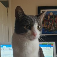 Jane Caffrey π΄σ §σ ’σ ³σ £σ ΄σ ΏπΊπ¦π π· (@janeycaf) 's Twitter Profile
