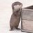 ありのままーさーのアイコン