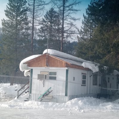 Bellaroyd1's profile picture. Watching documentaries