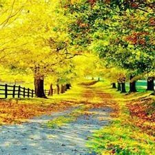 motterwlkoetje1's profile picture. #bitcoin #forex #stock #Bitcoin