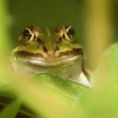 joost_la's profile picture. 