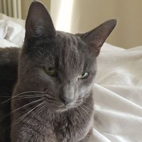it's sooty! (@sootyyard) 's Twitter Profile Photo it's sooty! (@sootyyard) 's Twitter Profile Photo