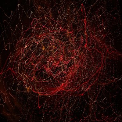 Truepathwarrior's profile picture. 