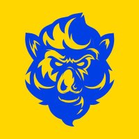 DavydovD (@davydov8207) 's Twitter Profile