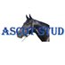 Ascot Stud (@ascot_stud) Twitter profile photo Ascot Stud (@ascot_stud) Twitter profile photo